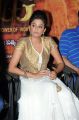 Actress Priyamani at Chandi Movie Trailer Launch Stills