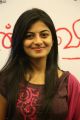 Actress Anandhi @ Chandi Veeran Movie Audio Launch Stills