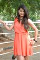 Telugu Actress Chandini Hot Photos