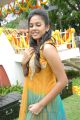 Telugu Actress Chandni Cute Photos in Churidar Dress