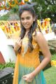 Chandini Cute Photos at Kalicharan 2012 Telugu Movie Launch