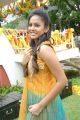 Beautiful Chandini in Yellow Dress at Kalicharan Movie Launch