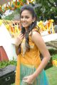 Beautiful Chandini in Yellow Dress at Kali Charan Movie Launch