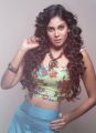 Actress Chandini New Hot Photo Shoot Images