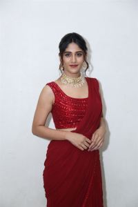 Chandini Chowdary New Pictures @ Music Shop Murthy Movie Pre Release
