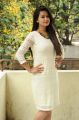 Actress Chandni Pictures @ Arya Chitra Success Meet