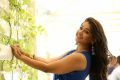 Actress Chandni Bhagwanani HD Images @ Ratham Movie Interview