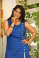 Actress Chandni Bhagwanani HD Images @ Ratham Movie Interview