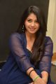 Diksuchi Movie Actress Chandni Bhagwanani Photos