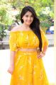 Actress Chandni Bhagwanani @ Diksoochi Press Meet Pictures