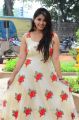 Actress Chandni Bhagwanani Latest Pics @ Ratham Movie Pre Release