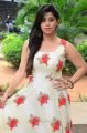 Ratham Movie Actress Chandni Bhagwanani Pics