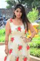 Actress Chandni Bhagwanani Pics @ Ratham Pre Release