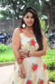 Actress Chandni Bhagwanani Latest Pics @ Ratham Movie Pre Release