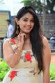 Actress Chandni Bhagwanani Pics @ Ratham Pre Release