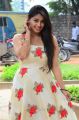 Actress Chandni Bhagwanani Latest Pics @ Ratham Movie Pre Release