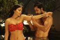 Shriya Saran hot with Prem Kumar in Chandra Movie New Stills