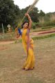 Shriya Saran Latest Photos from Chandra Movie