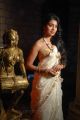 Shriya Saran Latest Photos from Chandra Movie