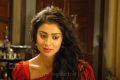 Shriya Saran in Chandra Tamil Movie Stills