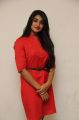 Jai Quehaeni @ Charles Shafiq Karthika (CSK) Audio Launch Stills