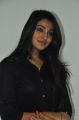 Jai Quehaeni @ Charles Shafiq Karthika Team Interview Photos