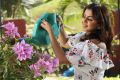 Actress Nikki Galrani in Charlie Chaplin 2 Movie HD Images