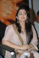 Charmee Kaur Cute Photos at Damarukam Platinum Disc Function