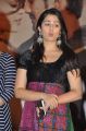 Charmee Kaur Latest Photos @ Saradaga Ammayilatho Audio Release