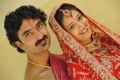 Actress Chaya Singh Marriage Photos