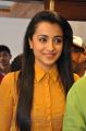 Actress Trisha Krishnan @ Cheekati Rajyam Movie Poster Launch Stills