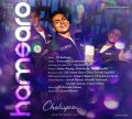 Karthi's Cheliyaa Hamsaro Single Song Release Posters