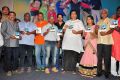 Chembu China Satyam Audio Launch Stills