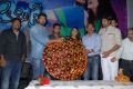 Chemistry Telugu Movie Audio Release Stills