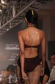 Chennai International Fashion Week 2012 Season 4 Day 2 Stills