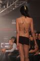 Chennai International Fashion Week 2012 Season 4 Day 2 Stills