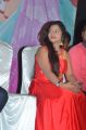 Tamil Actress Kamali @ Chennai Pakkathula Audio Launch Photos
