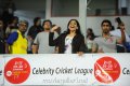 Chennai Rhinos Vs Mumbai Heroe CCL2 Match