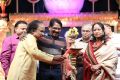 Violin L. Subramaniam, P Bharathiraja, Vani Jairam @ Chennaiyil Thiruvaiyaru Season 12 Inauguration Stills