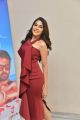 Telugu Actress Nikki Tamboli Photos in Red Dress