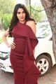 Telugu Actress Nikki Tamboli Photos in Red Dress