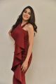 Telugu Actress Nikki Tamboli in Red Dress Photos
