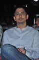 Actor Siddharth @ Chikkadu Dorakadu Movie Audio Launch Stills