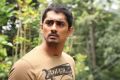 Actor Siddharth in Chikkadu Dorakadu Telugu Movie Stills