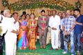 Mahendran,Radha Mohan at Director Chimbudevan Wedding Stills