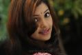 Actress Sanchita Padukone in Chinababu Movie Stills