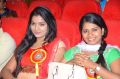 Chinnathirai Awards 2015 Function Photos