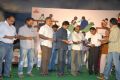 Chinni Chinni Aasa Movie Audio Release Photos