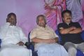 Chithiraiyil Nilachoru Movie Audio Launch Stills