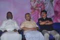 Chithiraiyil Nilachoru Movie Audio Launch Stills